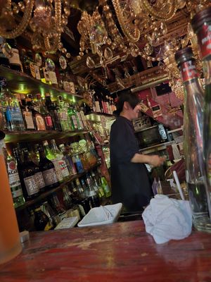 Bar Albatross by null