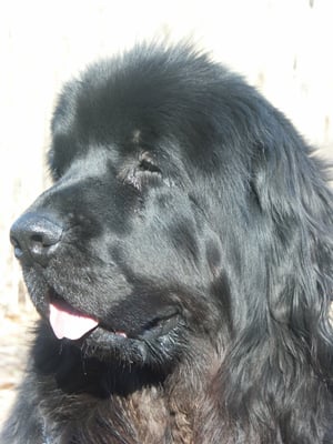 Fenwick Crab House by null