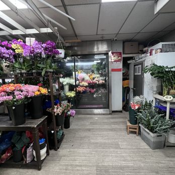 Confucius Florist - Florists Near Me - New York, New York