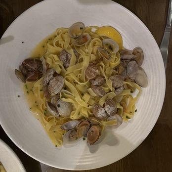 OLIVIA - Italian Near Me - Tampa, Florida OLIVIA - Italian Near Me - Tampa, Florida