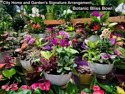 City Home & Garden, Inc by null
