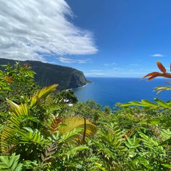 R&L Taxi and Tours - Beautiful Waipio Valley from our tour with Koty!