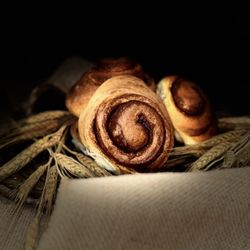 The Bread Anatomy - Cinnamon Roll