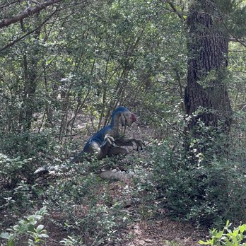 Dinosaur Park - Amusement Parks Near Me - Cedar Creek, Texas