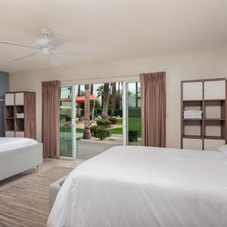 Banyan Palm Springs
