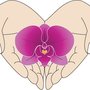 Photo of Almost Like Family Caregivers, LLC