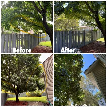 Family Tree Service LLC - Before and after tree trimming - Tree Services Near Me - Brooklyn Park, Minnesota