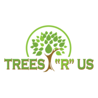 Trees R Us TREES R US - Updated July 2026 - 13 Reviews - 8446 N SR 267, Brownsburg ...