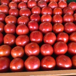 Vaughan's Farm & Garden - Who doesn't love a beautiful Jersey tomato