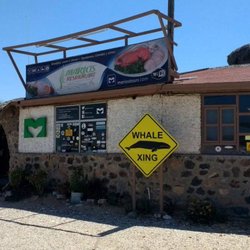 Mario's Tours - Whale XING