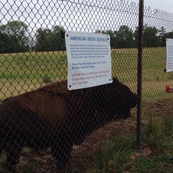 Native Hoofed Animal Enclosure - Parks Near Me