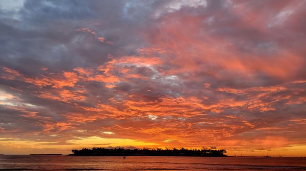 Sunset Celebration at Mallory Square by null