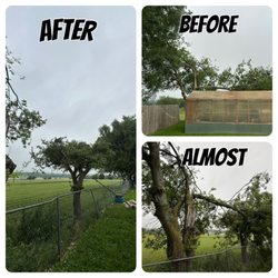 Heavenly Tree And Lawn Care - Due to storm, branch barely missed the greenhouse.