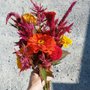 Photo of Schnitzelburg Community Farmers Market