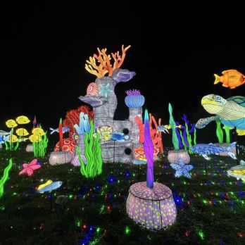Franklin Park Zoo - Boston Lights - Zoos Near Me - Boston, Massachusetts Franklin Park Zoo - Boston Lights - Zoos Near Me - Boston, Massachusetts