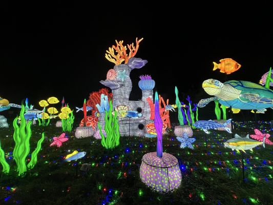 Franklin Park Zoo by null