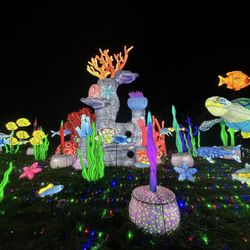 Franklin Park Zoo - Boston Lights
