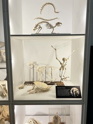 George B. Dorr Museum of Natural History by null
