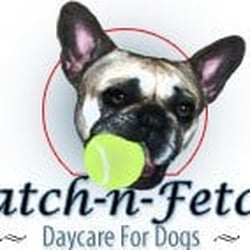 Catch-N-Fetch
