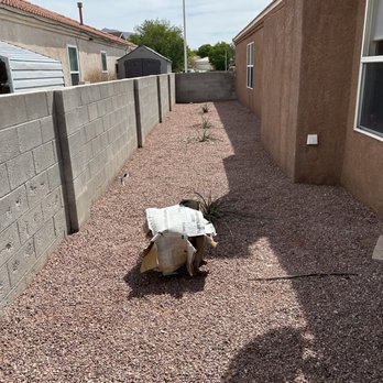 Handy Huntington - All clean - Handyman Near Me - Rio Rancho, New Mexico
