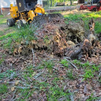 Paynes Stump Grinding - Tree Services Near Me Paynes Stump Grinding - Tree Services Near Me