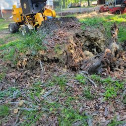 Paynes Stump Grinding