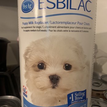 Esbilac petco best sale