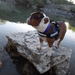 River Park - I love how easy it is to access the river....even if I don't go in