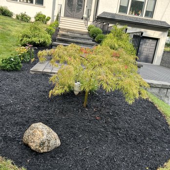 Atlas Landscapes - Landscape planting and design with Japanese Maple - Lawn Services Near Me
