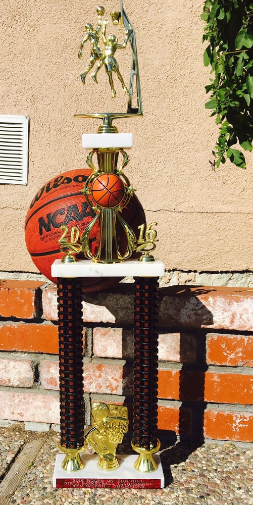 Torch Basketball Academy Logo