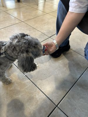 No Limits Coffee Shop by null