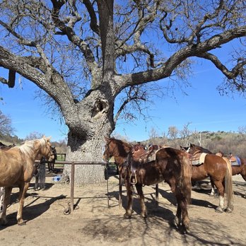 Central Coast Trailrides - Horseback Riding Near Me