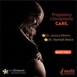 The Chiropractic Wellness Studio - Prenatal Chiropractor Edmonton