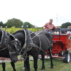 Wine Country Wagon Rides