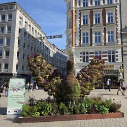 Gänsemarkt