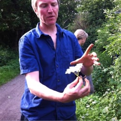 Chorlton Ees - Size of the elderflower heads needed to make wine or cordial - you need approx 15