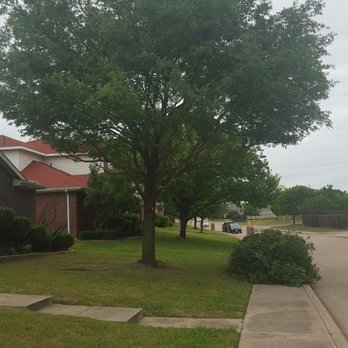 Castro's Tree Service - After! - Tree Services Near Me - Dallas, Texas Castro's Tree Service - After! - Tree Services Near Me - Dallas, Texas