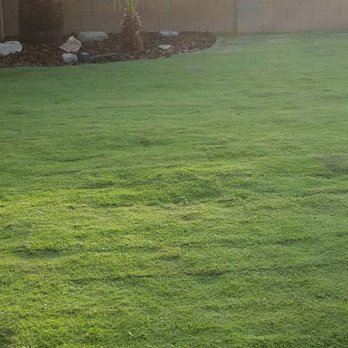 Lopez Landscaping - a backyard with grass and a fence - Landscaping Near Me - Blythe, California Lopez Landscaping - a backyard with grass and a fence - Landscaping Near Me - Blythe, California