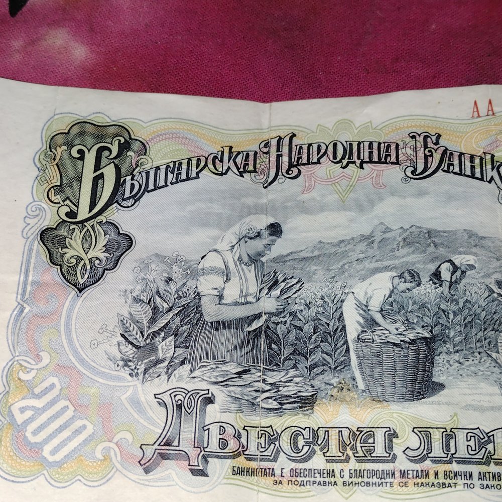 u^VV^ t m y, image size:1000x1000