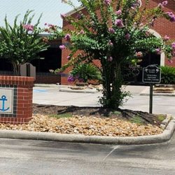 Coy Chiropractic