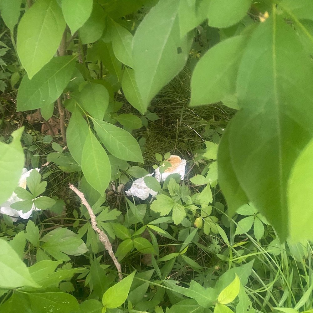 Buffalo Tent Rental - Extras included in my tent package-human waste and "used" napkins - Wedding Planning Near Me - Cheektowaga, New York