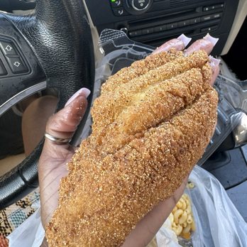 Triangle Deli - Tooooo big to be real fish... SUPER greasy - Soul Food Near Me - New Orleans, Louisiana
