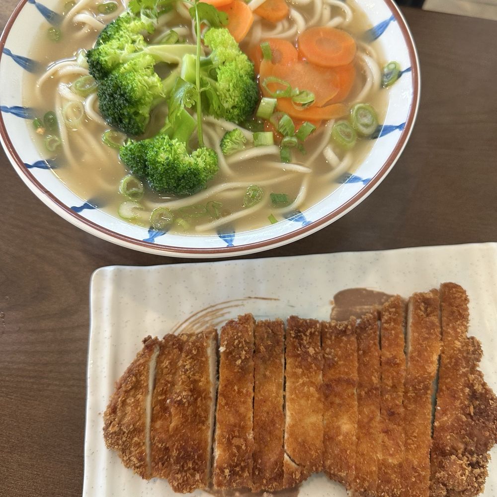 Noodleology - Pan fried chicken breast with soup - Noodles Near Me - Edmond, Oklahoma Noodleology - Pan fried chicken breast with soup - Noodles Near Me - Edmond, Oklahoma