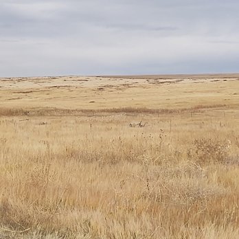 Plains Conservation Center - Community Service/Non-Profit Near Me - Aurora, Colorado