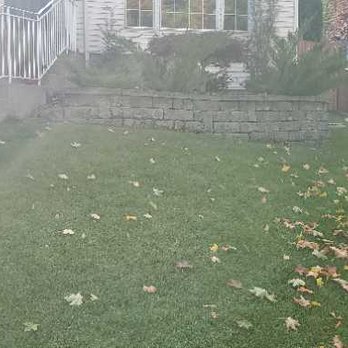 Pacific Lawn & Pest - Before "service" - Pest Control Near Me - Spokane Valley, Washington Pacific Lawn & Pest - Before "service" - Pest Control Near Me - Spokane Valley, Washington