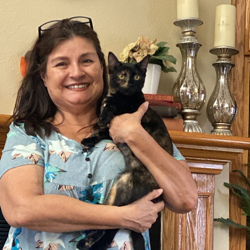 BOTELLO TAX SERVICES Orosi, California Tax Services Phone Number Yelp