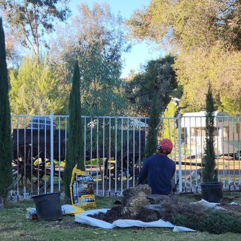 Dynasty Tree Care - Tree Services Near Me Dynasty Tree Care - Tree Services Near Me