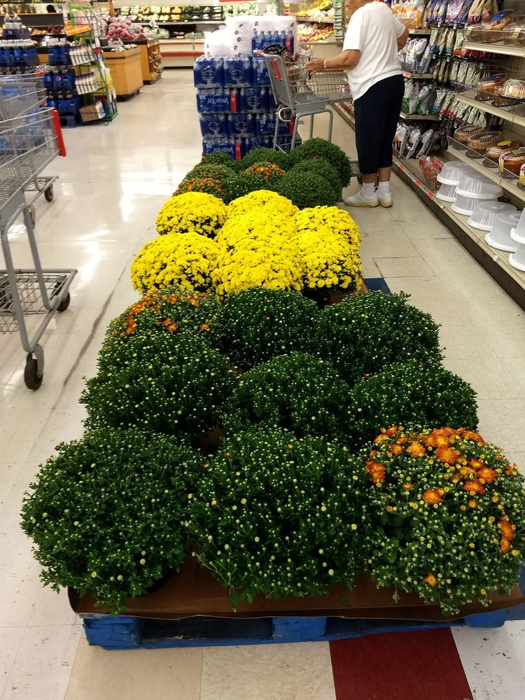 PIGGLY WIGGLY GROCERY Grocery at 210 E 4th Ave, Red Springs, North Carolina Phone Number Yelp