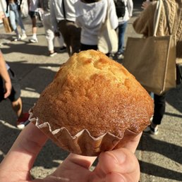 Madeleines