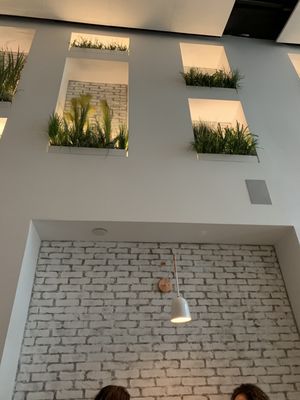 Menu photo 6 PLANTA Yorkville Toronto, ON Menu photo 6 PLANTA Yorkville Toronto, ON